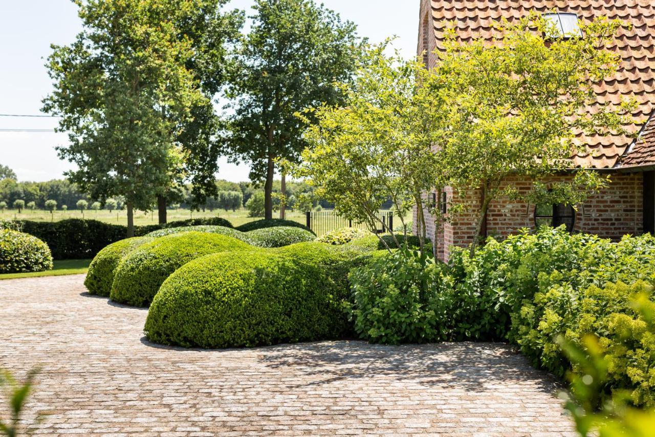 Hoeve Den Akker - Luxueuze Vakantiewoningen Met Privetuinen En Alpaca'S Nabij Brugge, Damme, Knokke, Sluis En Cadzand Kültér fotó