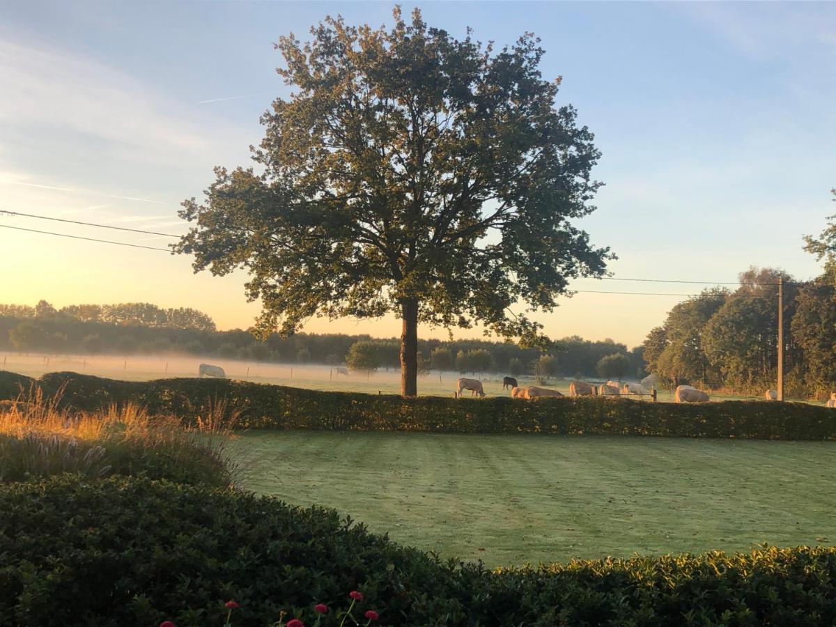 Hoeve Den Akker - Luxueuze Vakantiewoningen Met Privetuinen En Alpaca'S Nabij Brugge, Damme, Knokke, Sluis En Cadzand Kültér fotó