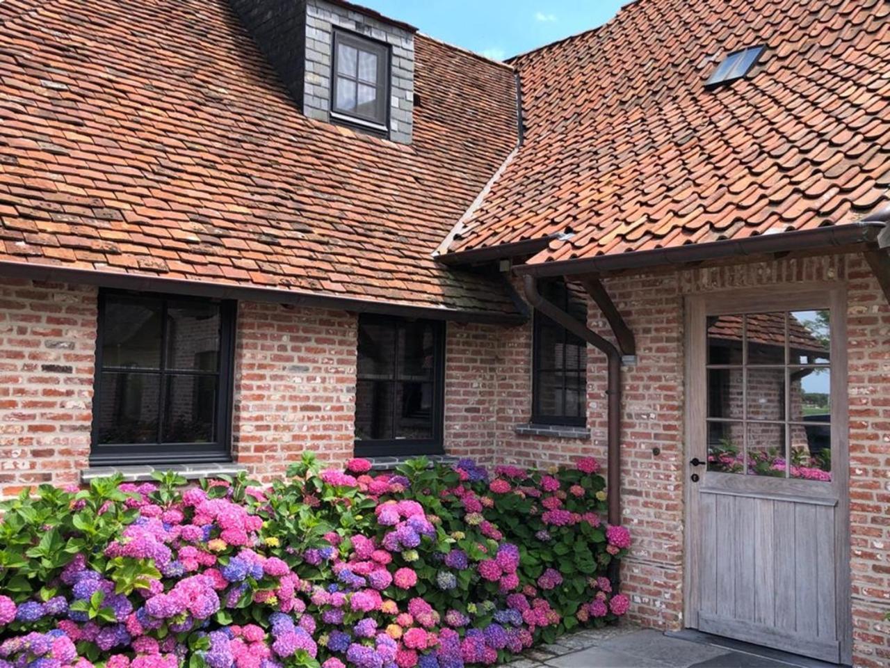 Hoeve Den Akker - Luxueuze Vakantiewoningen Met Privetuinen En Alpaca'S Nabij Brugge, Damme, Knokke, Sluis En Cadzand Kültér fotó