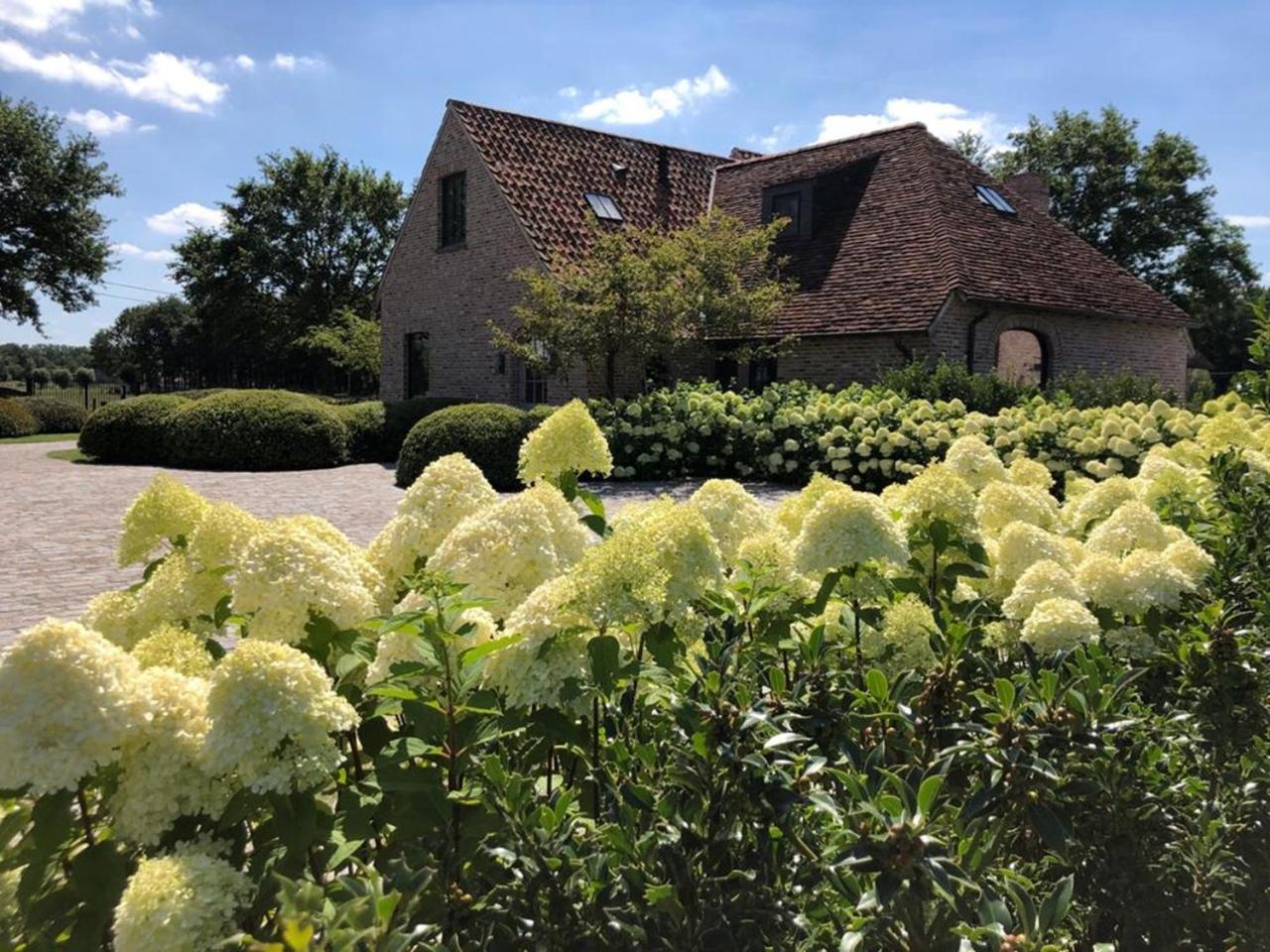 Hoeve Den Akker - Luxueuze Vakantiewoningen Met Privetuinen En Alpaca'S Nabij Brugge, Damme, Knokke, Sluis En Cadzand Kültér fotó
