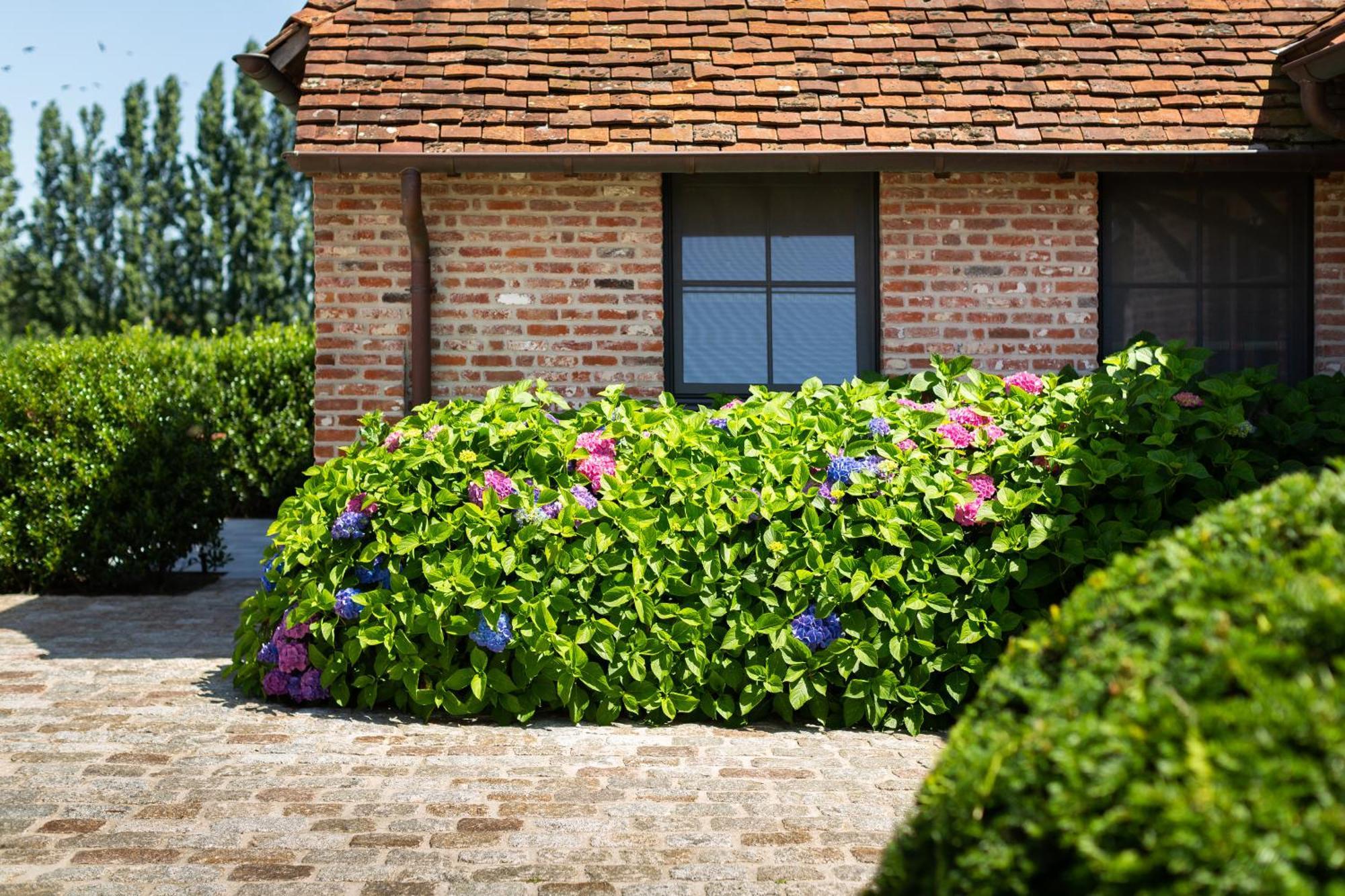 Hoeve Den Akker - Luxueuze Vakantiewoningen Met Privetuinen En Alpaca'S Nabij Brugge, Damme, Knokke, Sluis En Cadzand Kültér fotó