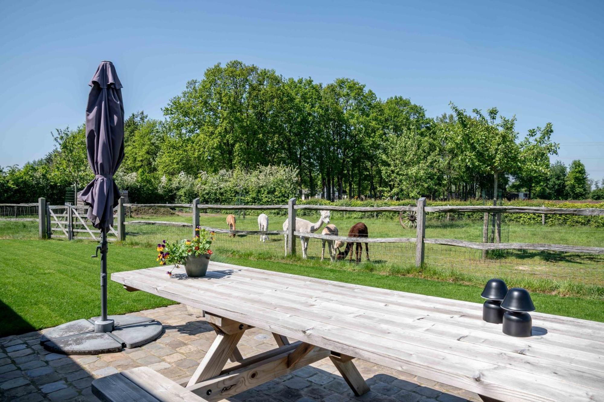 Hoeve Den Akker - Luxueuze Vakantiewoningen Met Privetuinen En Alpaca'S Nabij Brugge, Damme, Knokke, Sluis En Cadzand Kültér fotó