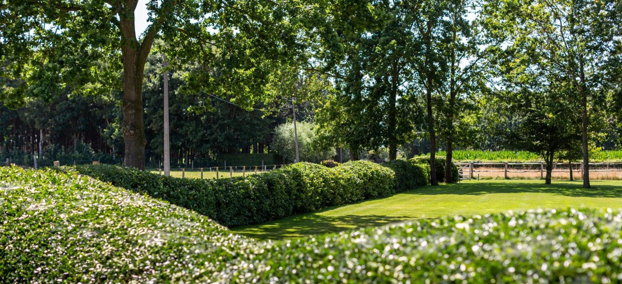 Hoeve Den Akker - Luxueuze Vakantiewoningen Met Privetuinen En Alpaca'S Nabij Brugge, Damme, Knokke, Sluis En Cadzand Kültér fotó